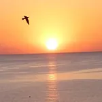 Finikoudes Sunrise Sea View Lux * Larnaca