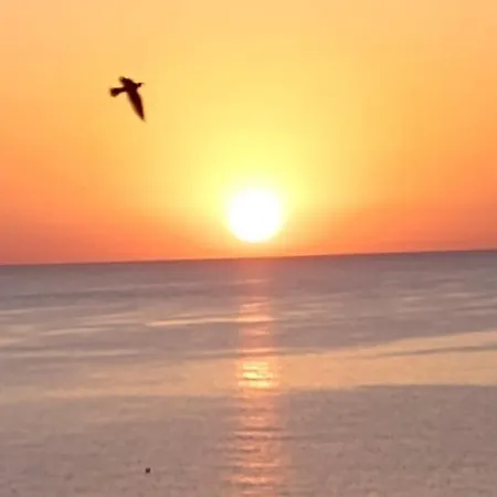 Finikoudes Sunrise Sea View Lux * 拉纳卡